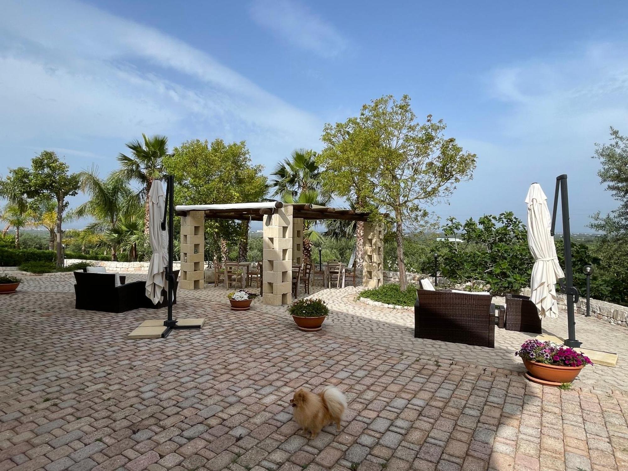 Alla Villa Di Angelo Monopoli Ngoại thất bức ảnh