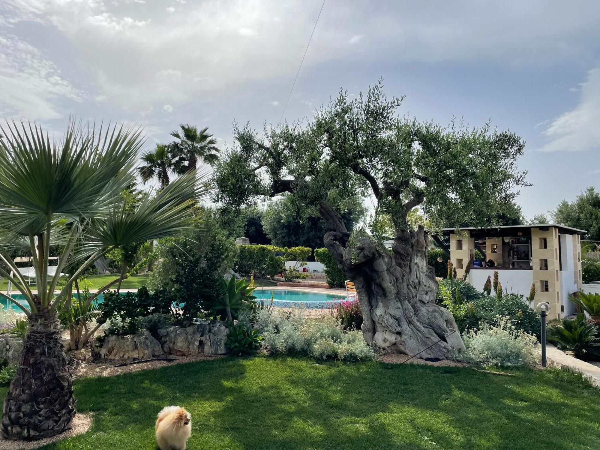 Alla Villa Di Angelo Monopoli Ngoại thất bức ảnh
