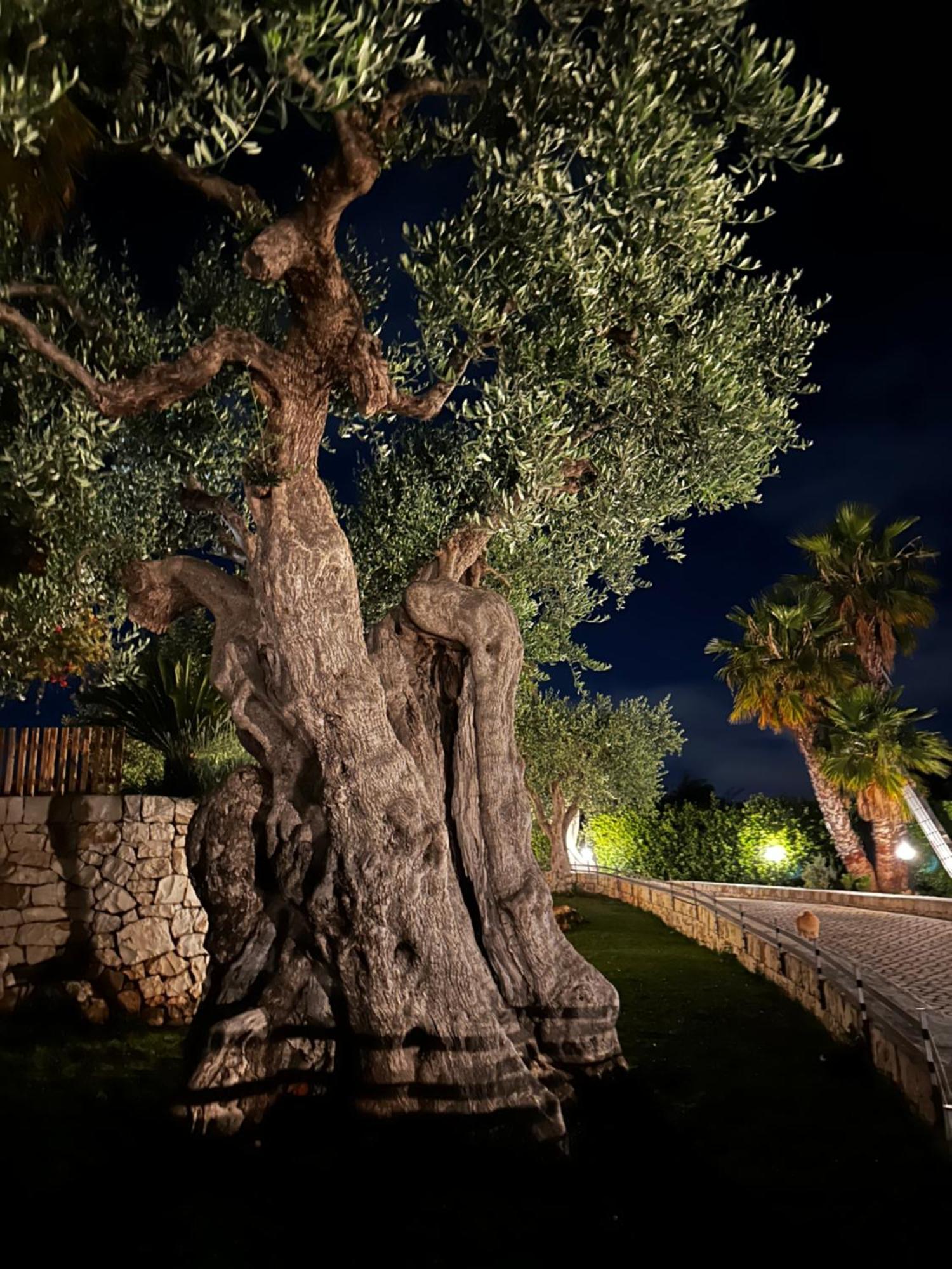 Alla Villa Di Angelo Monopoli Ngoại thất bức ảnh