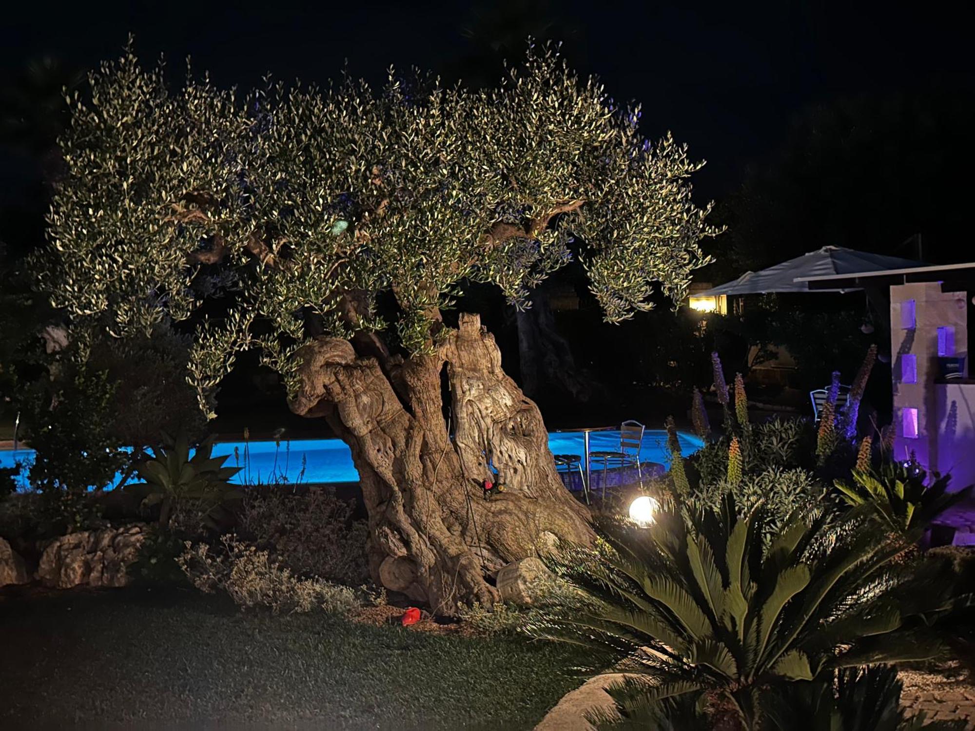 Alla Villa Di Angelo Monopoli Phòng bức ảnh